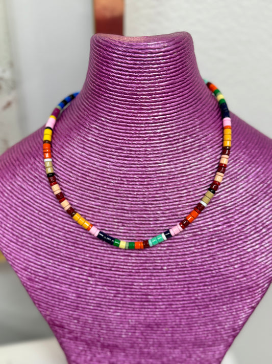 Multi Colored Enamel Necklace